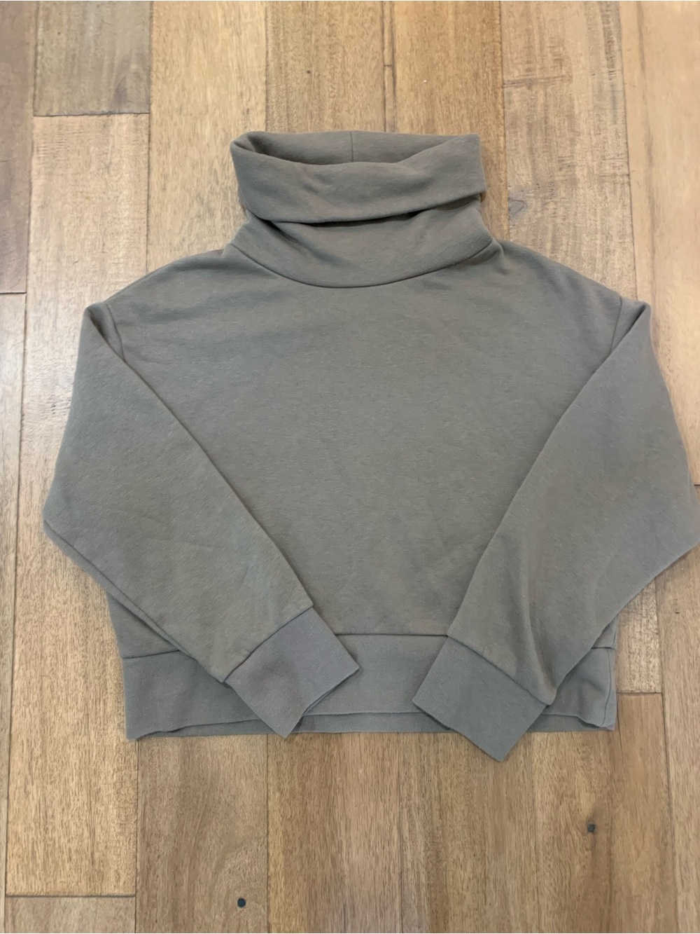 Zara Neutral Turtleneck Sweatshirt